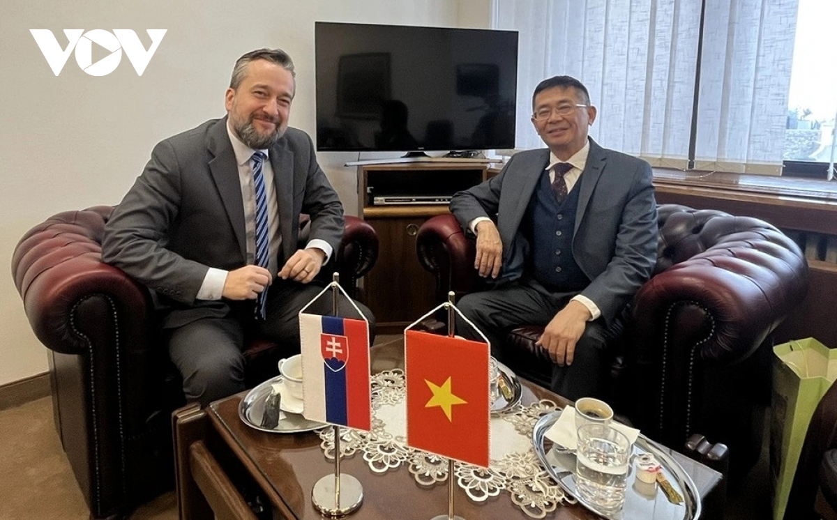 Vietnam is Slovakia’s important partner, says Slovak official